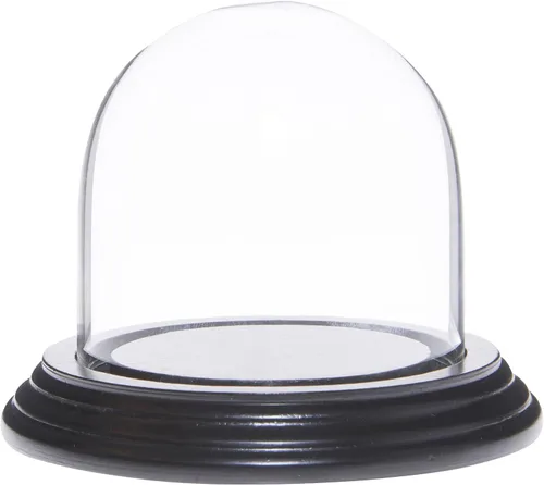 Vista 8 de Plymor 3 "x 3" Pantalla de cristal Dome Cloche (base de chapa de roble)