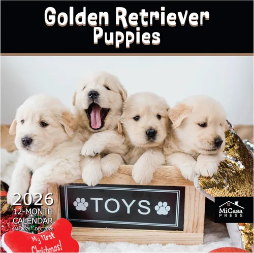 Vista 106 de MICASA PRESS Calendario de pared de Australian Shepherds Aussies 2027 02 - Pastores australianos