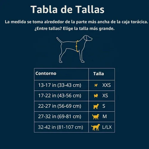 Vista 2 de Ruffwear, Front Range - Arnés reflectante para perro, suave y acolchado, de uso diario, con doble clip para correa, ajustable, ligero, para caminar