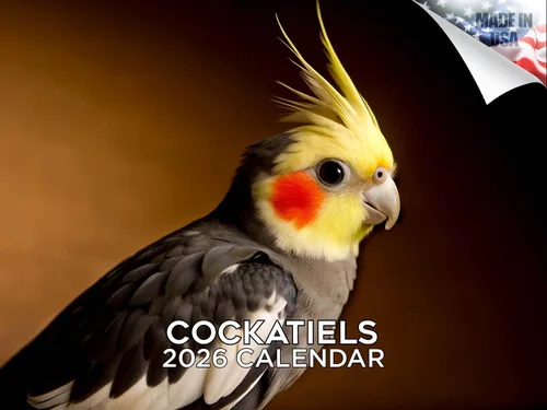 Vista 175 de Calendario de grises africanos 2025 2026 – Planificador mensual de pared de aves africanas – 12 x 18 pulgadas (abierto), calendario de pared