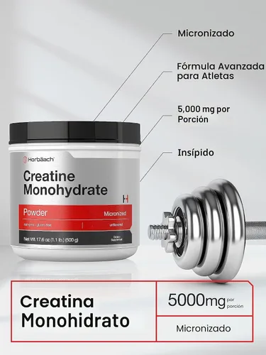 Vista 3 de Horbäach Creatina monohidrato en polvo 1.1lb (17.6 oz)