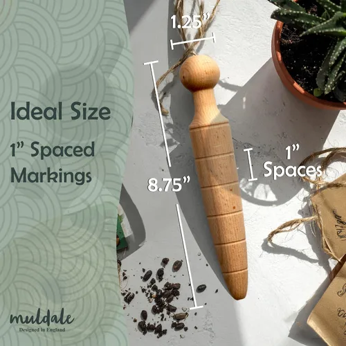 Vista 6 de Garden Dibber - Herramienta para sembrar semillas de madera para plantar Herramienta de plantación de bulbos de mano de calibre cónico