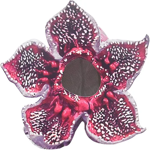 Vista 3 de RICHALE Demogorgon - Disfraz de monstruo de terror para niños, trajes de Halloween con máscara de 5 a 12 años