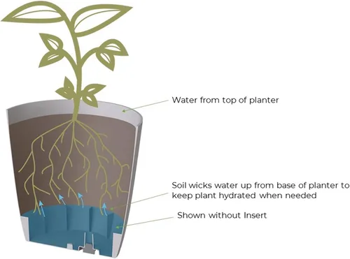 Vista 4 de The HC Companies Aria Maceta cuadrada de riego automático con drenaje, macetas para plantas de exterior y plantas de interior, macetas de plástico