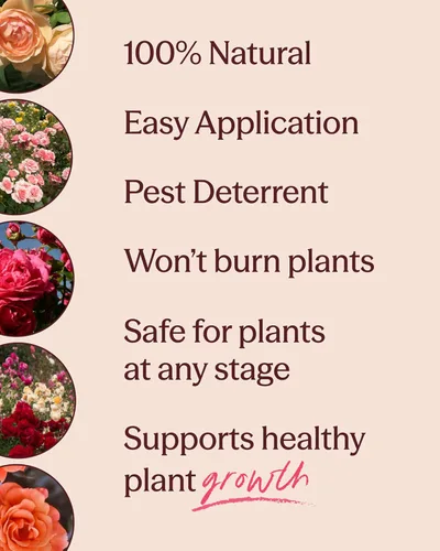 Vista 3 de Fundición de gusano de 1.5 cuartos de galón de Heirloom Roses - Fundición de gusano para jardinería