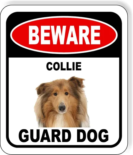 Vista 107 de BEWARE BASSETT HOUND GUARD DOG - Letrero compuesto de aluminio para exteriores, 8.5 x 10 pulgadas CUIDADO BASSETT HOUND GUARD PERRO