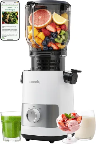 Vista 12 de Canoly 3-in-1 Cold Press Juicer C07, Makes Juice & Sorbet & Nut Milk Titanium Gray