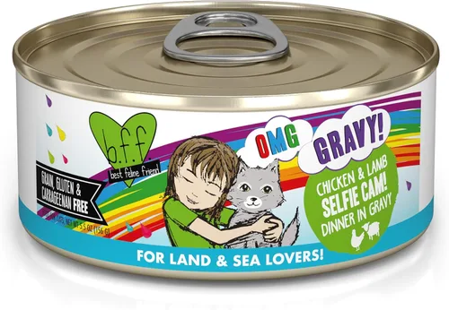 Vista 39 de Weruva B.F.F. OMG – mejor amigo felino Oh My Gravy! Latas de comida húmeda natural sin granos, recetas de tierra y mar en salsa