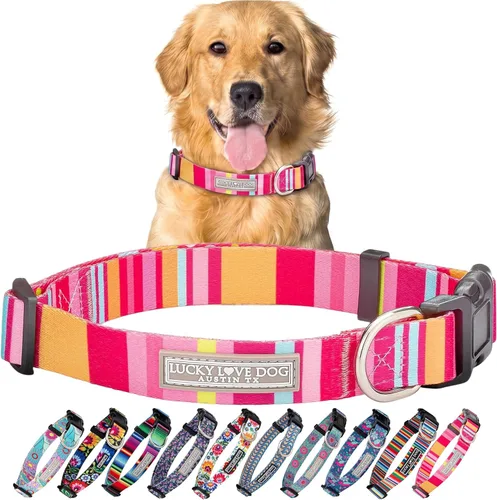 Vista 43 de Lucky Love Dog - Collar para perras pequeñas, diseño Blackbird de estampado alegre con flores de primavera y verano, talla XS Collar Blackbird