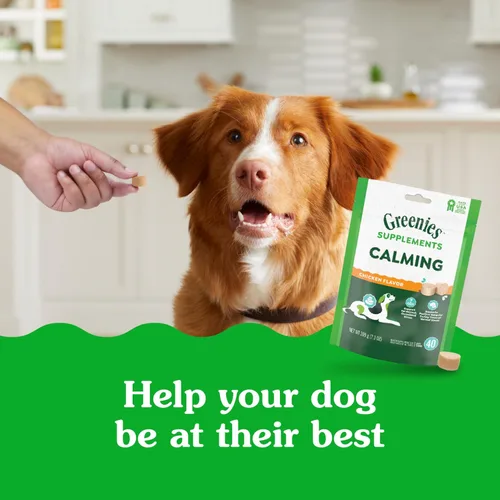 Vista 3 de Greenies Suplementos masticables calmantes para perros sabor a pollo, 7.3 oz. Contenedor de 40