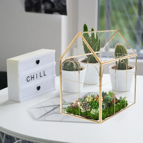 Vista 6 de HighFree Terrario geométrico para plantas con tapa, kit de terrario para suculentas para exhibición, plantas de aire, suculentas, terrario en Dorado