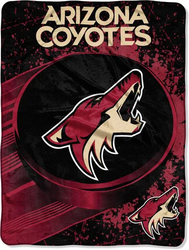 Vista 46 de Northwest NHL Unisex-Adult Micro Raschel Throw Blanket