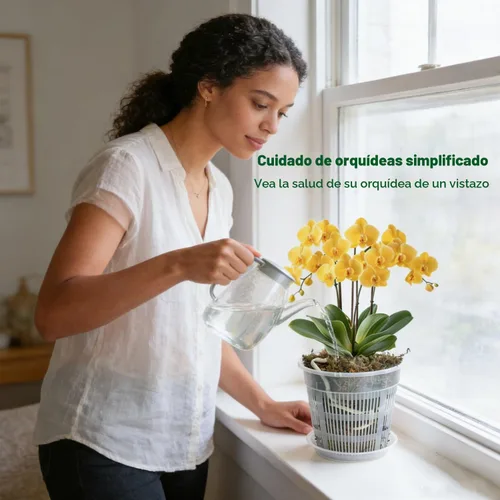 Vista 7 de T4U Clear Orchid Pots 6.3 Inch 6 Pack, Orchid Pot with Holes Repotting