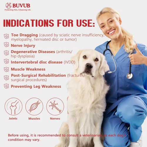 Vista 5 de Bota para nudillos caninos para perros con esfera ajustable para arrastrar los dedos de los pies por insuficiencia del nervio ciático, mielopatía