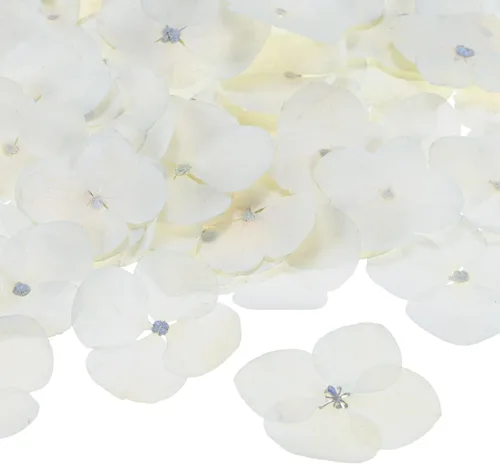 Vista 10 de M METERXITY Paquete de 60 flores secas prensadas para resina, morado y Morado y blanco