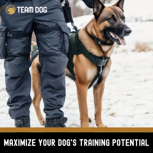 Vista 4 de Team Dog Golosinas para perros con corazón, pulmón e hígado de res, 5.4 onzas, sin gluten y sin granos