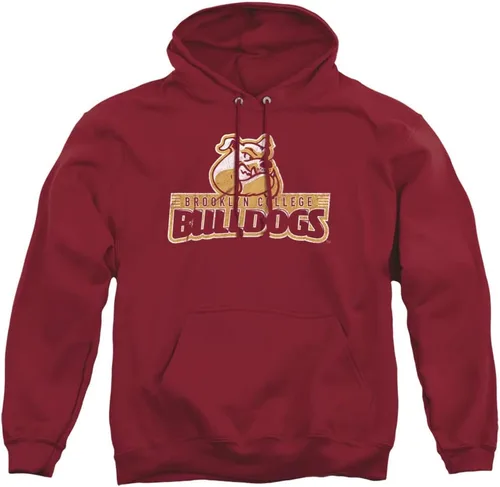 Vista 84 de Distressed College Primary Logo Adult Pullover Hoodie Collection 1 Universidad Estatal de Albany
