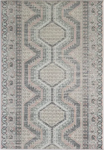 Vista 2 de Rugs America Hailey HY10A Heath - Alfombra vintage de transición de 8 x 10 pies