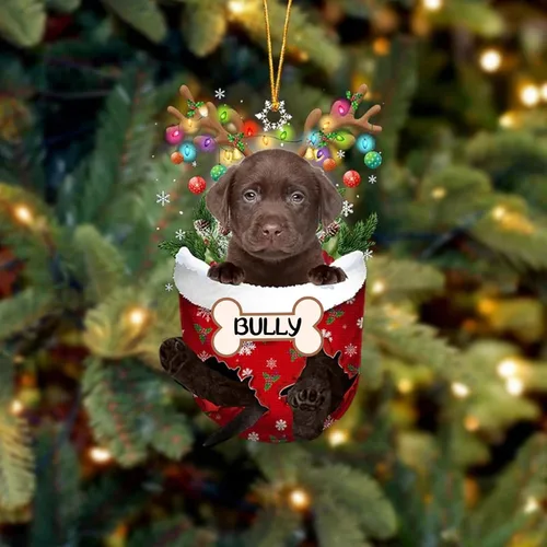 Vista 210 de IZI POD Affenpinscher Adorno de Navidad personalizado para perro, adorno de bolsillo de nieve para perro para árbol de Navidad, adorno acrílico