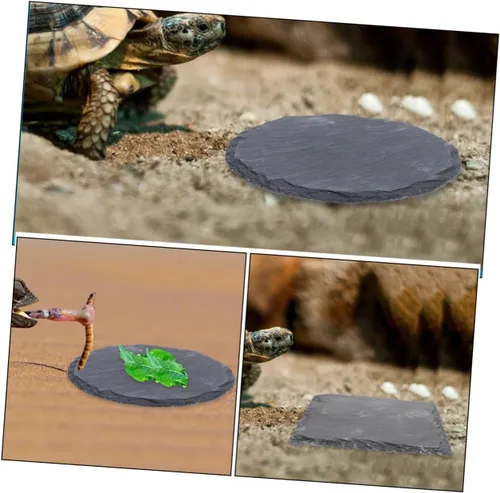 Vista 4 de Ipetboom 2pcs Cuenco de pulido de uñas Reptil Basking Plataforma Tortuga Plato de comida Colorfast Multifuncional