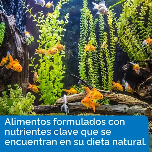 Vista 5 de API GOLDFISH FLAKES - Contenedor de comida para pescado, 0.36 onzas