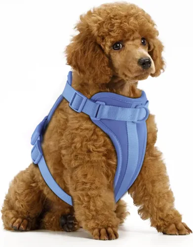 Vista 26 de Wisedog Arnés Ligero Sin Tirones para Perro: Arnés de Chaleco de Malla Transpirable Ajustable para Mascotas con Cojín Suave y Cómodo, para Perros