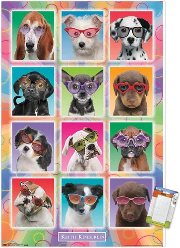 Vista 10 de Trends International Keith Kimberlin - Póster de pared con diseño de cachorros, gafas de sol, 14.725 x 22.375 pulgadas, versión enmarcada de madera