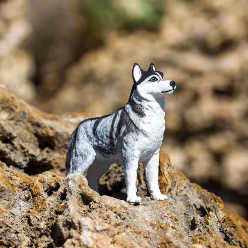 Vista 8 de Safari Ltd. Figura de Husky Siberiano – Figura detallada de plástico de 3.25 pulgadas – Divertido juguete educativo para niños, niñas y niños a