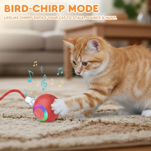 Vista 7 de Juguete interactivo para gatos, juguetes para gatos de interior, juguete automático de bola, juguete de bola de persecución para gatos con cola
