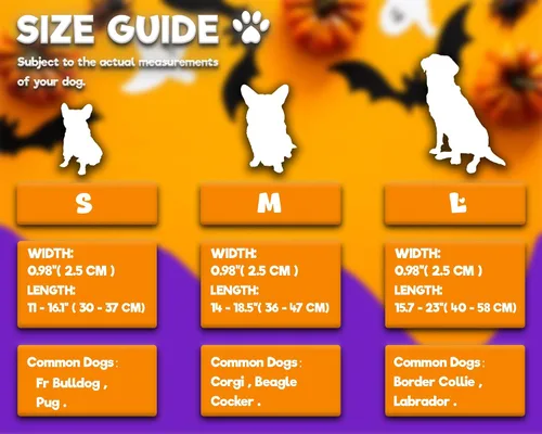 Vista 6 de DOGWONG Collar de perro con luz LED para Halloween, recargable e impermeable, collares de perro iluminados para otoño para caminar por la noche