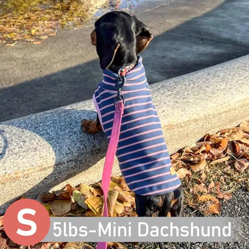 Vista 8 de KYEESE Paquete de 2 suéteres para perro, abrigo para mascotas, cuello alto, ropa elástica para perros, suéteres súper suaves para perros pequeños 1#