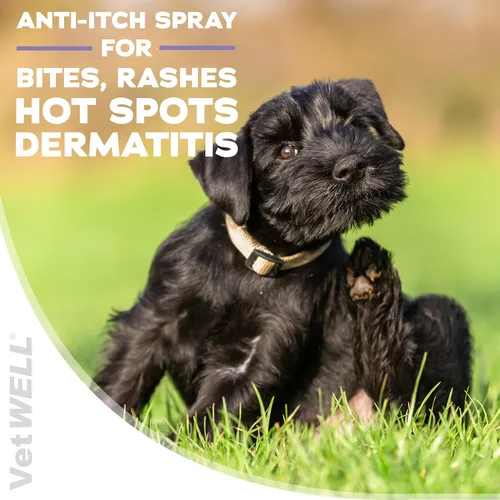 Vista 3 de VetWELL Spray de hidrocortisona para perros y gatos – Alivio de picazón en la piel de puntos calientes, picaduras, rasguños, piel irritada