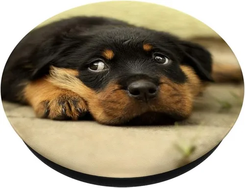 Vista 2 de Rottweiler – Enchufe para cachorros – Gancho y soporte para teléfonos y tabletas, Negro
