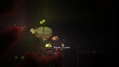 Vista 7 de Terraria - Wii U