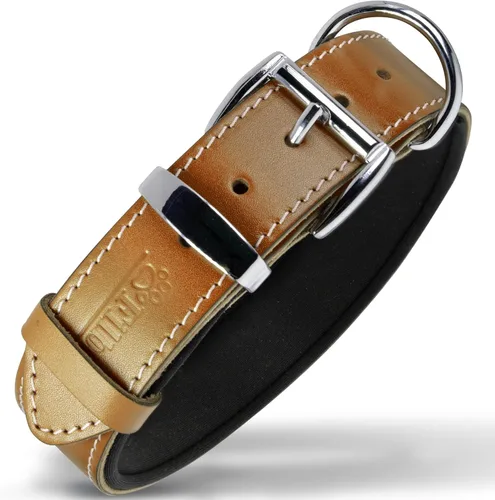 Vista 18 de Filbert Collar de cuero para perro, collar de cuero genuino para perros pequeños, estampado de patas en relieve con hebilla, grano completo curtido