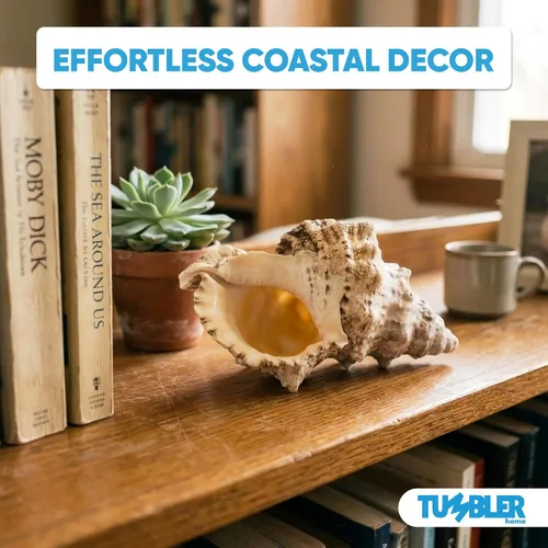 Vista 4 de Tumbler Home Conchas marinas grandes para decoración o pecera, decoración costera y náutica, soporte para plantas de aire, adornos de acuario