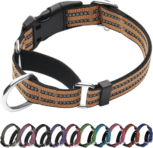Vista 15 de Martingale - Collar reflectante de nailon ajustable con hebilla de liberación rápida, collares de entrenamiento para perros pequeños, medianos