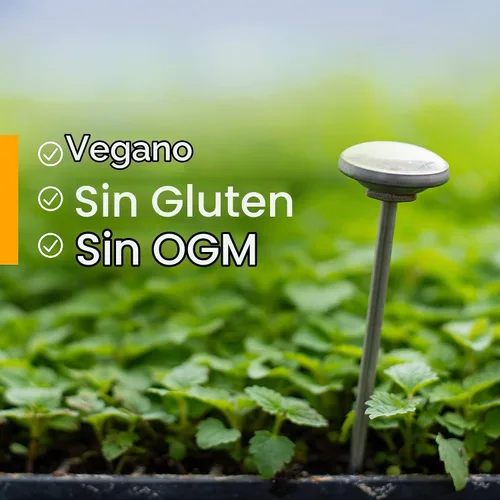 Vista 9 de Herb Pharm Gotas de extracto líquido de motherwort orgánico certificado para soporte del sistema endocrino, 1 onza
