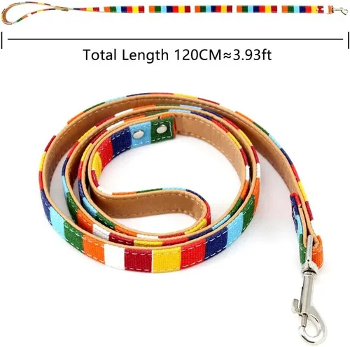 Vista 6 de Collar de perro XS, collar de cuero para perro, juego de correa y collar personalizado, para pequeños, seguro y cómodo (S)
