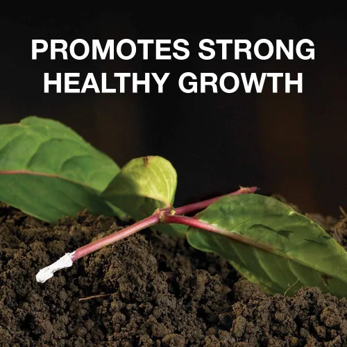 Vista 2 de Doff Planta y esquejes del polvo de enraizamiento de la hormona 2.65 oz Dibber Pack Rootings Power