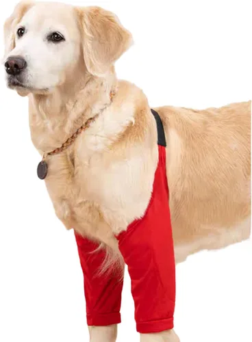 Vista 14 de HDKUW Protector de codo para perros para callos, traje de recuperación para patas delanteras, alternativa al collar de cono para dejar de lamer Gris