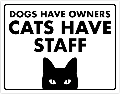 Vista 33 de Señal de Gato de 24 Horas de Vigilancia Felina de Premises Under 24 Hour - Cartel de gato divertido, metal, 8 x 12 pulgadas, letreros de gato