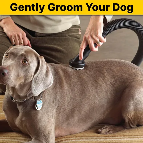 Vista 4 de Shop-Vac 9190400 Herramienta de aseo para perros, 1.25 pulgadas de diámetro, cerdas suaves para aseo y aspiración suaves de mascotas, (paquete de 1)