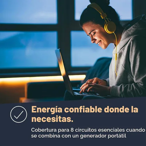 Vista 3 de Generac HomeLink - Interruptor de transferencia manual para generador