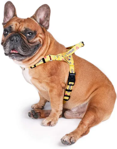 Vista 11 de iChoue Arnés para bulldog francés, ajustable, acolchado, hebilla bloqueada con asa para perros carlino francés, Boston Terrier inglés, azul, talla S
