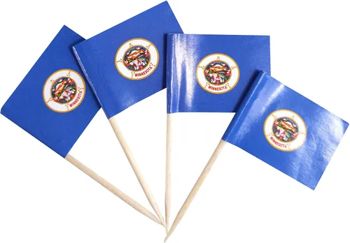 Vista 14 de JBCD Bandera de palillo de dientes de Arkansas Mini Banderas pequeñas para cupcakes de Arkansas, 100 piezas