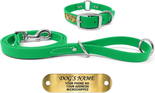 Vista 14 de Regal Dog Products Collar de Perro Naranja Mediano con Placa de Nombre Grabada Personalizada - Ajuste Personalizado, Resistente, Fácil de Limpiar