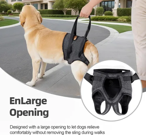 Vista 4 de Arnés acolchado suave ajustable para patas traseras para perros grandes, para patas traseras débiles, lesionadas o discapacitadas, ayuda a apoyar a