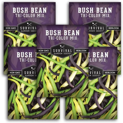 Vista 12 de Semillas de frijol arbusto de mezcla tricolor para plantar, mezcla de frijoles verdes, amarillos y morados con vainas sin cuerdas, 3 variedades