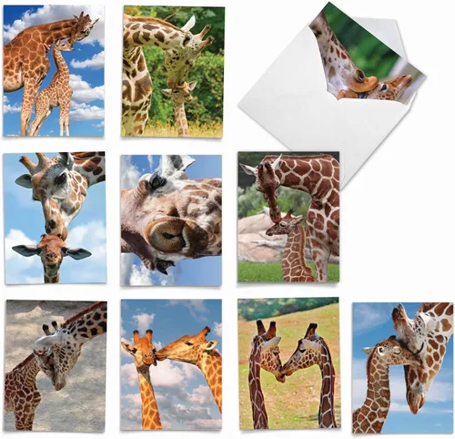 Vista 8 de The Best Card Company - Tarjetas de animales en blanco en caja, 4 x 5.12 pulgadas, mascotas surtidas, zoológico, tarjetas de vida silvestre